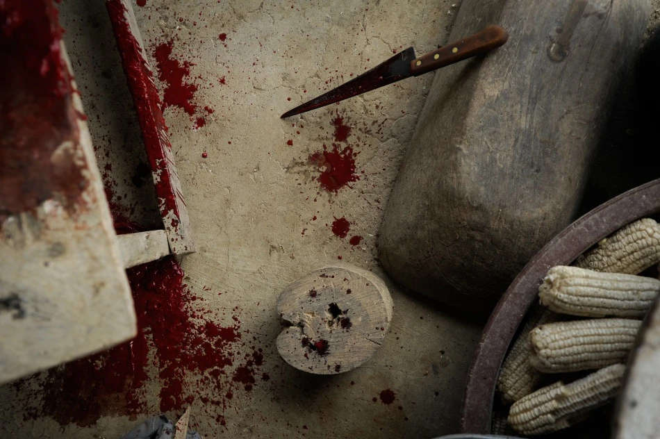 Ciénega- ngôi làng không có trẻ em ảnh 11